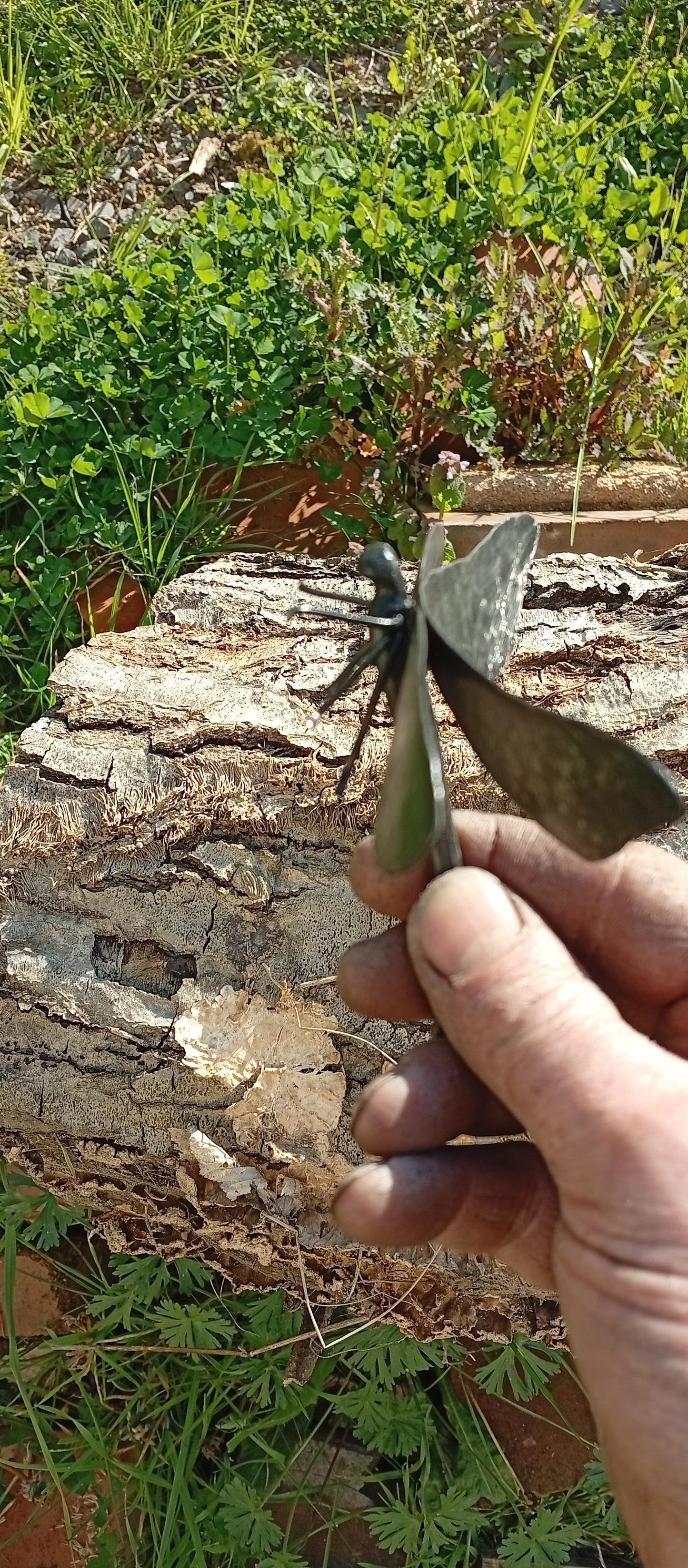 Libellule en fer forgé : objet déco artisanal