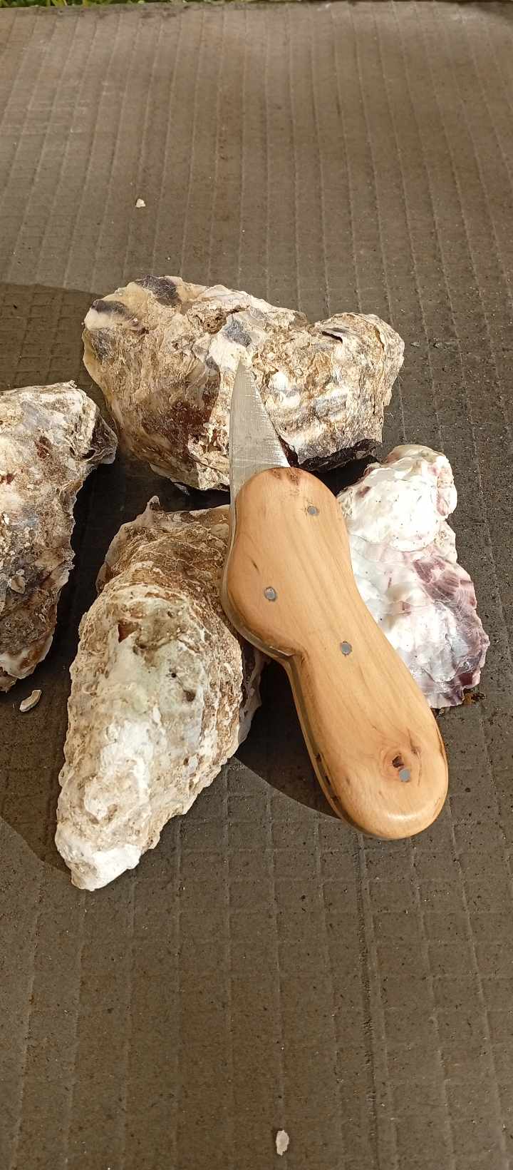 Couteau à huître artisanal