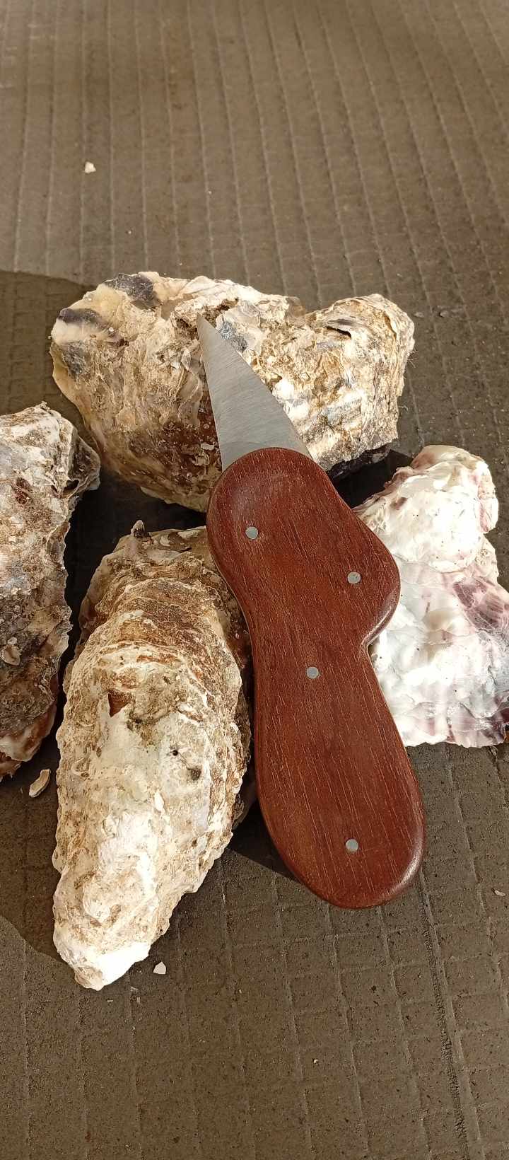 Couteau à huître artisanal Bois exotique