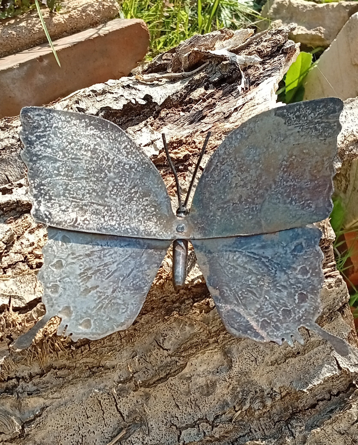 Papillons en fer forgé