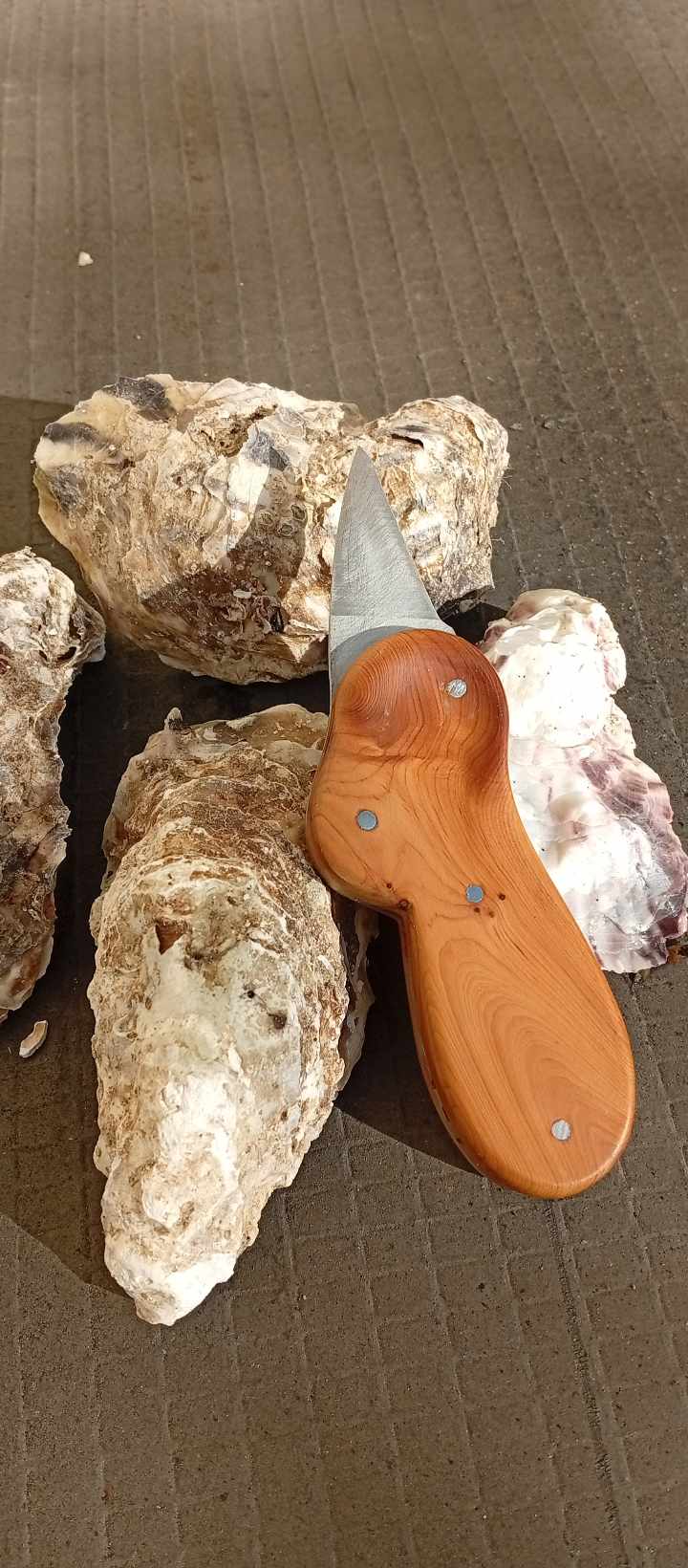 Couteau à huître artisanal